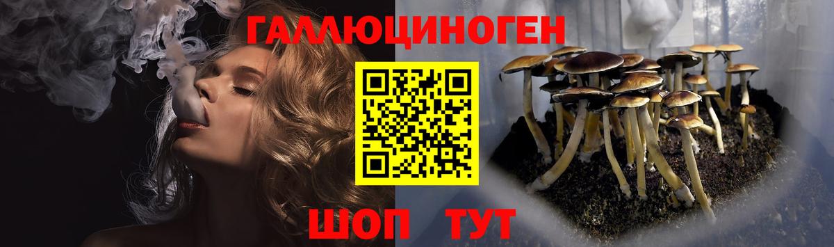 Галлюциногенные грибы мицелий  где купить   Искитим  Галлюциногенные грибы прущие грибы  Вход с VPN 